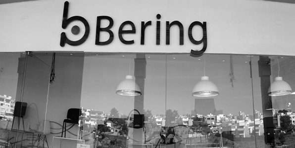 BERING-300