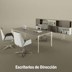 Excritorios de Dirección