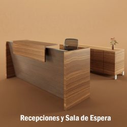 Recepciones y Sala de Espera